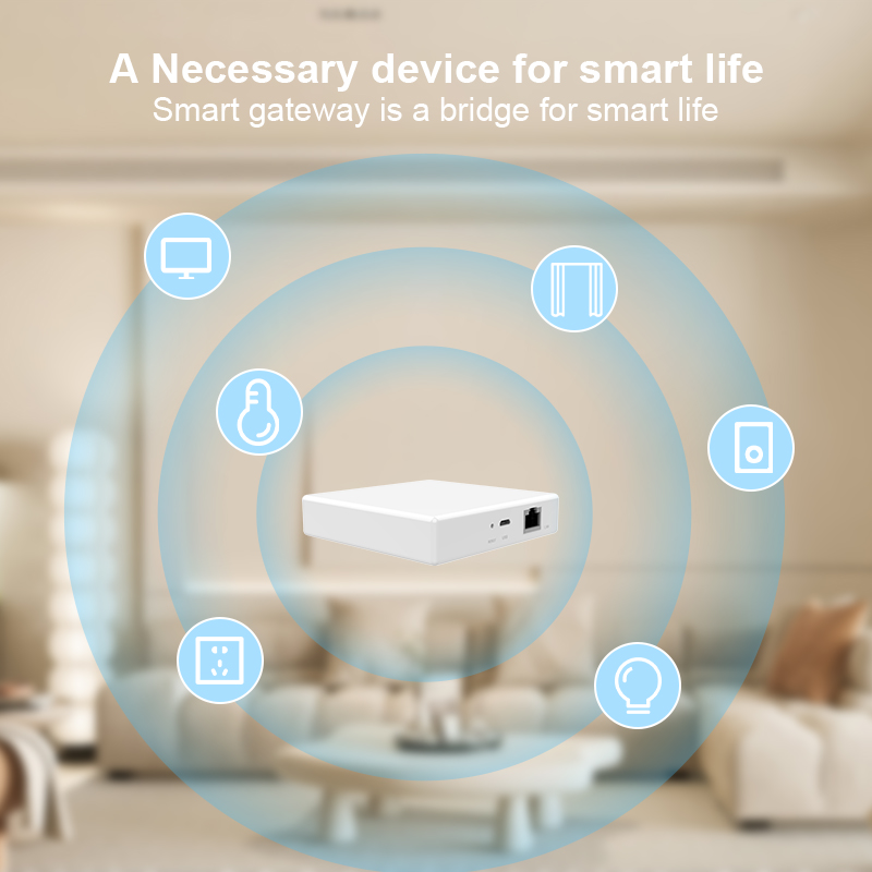 เกตเวย์ Matter Hub Homekit Tuy - Smart Home Hub Xiaomi บทวิจารณ์และราคา